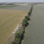 Le MEDEF et Epiterre une histoire qui dure pour l&rsquo;environnement